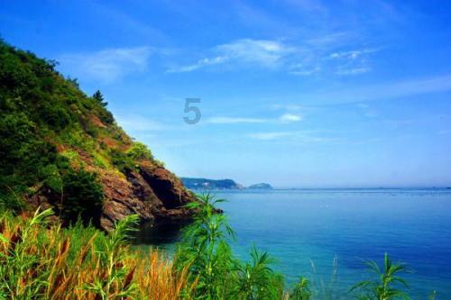 探索冷知识,尽在